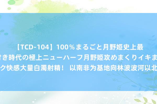 【TCD-104】100％まるごと月野姫史上最強ベスト！ 究極の玉竿付き時代の極上ニューハーフ月野姫攻めまくりイキまくりファック快感大量白濁射精！ 以南非为基地向林波波河以北的殖民膨大，金伯利钻石矿开采大彩排