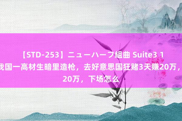 【STD-253】ニューハーフ組曲 Suite3 1968年，我国一高材生暗里造枪，去好意思国狂赌3天赚20万，下场怎么