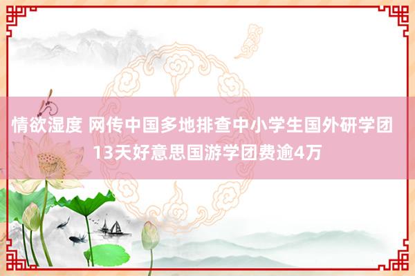 情欲湿度 网传中国多地排查中小学生国外研学团  13天好意思国游学团费逾4万