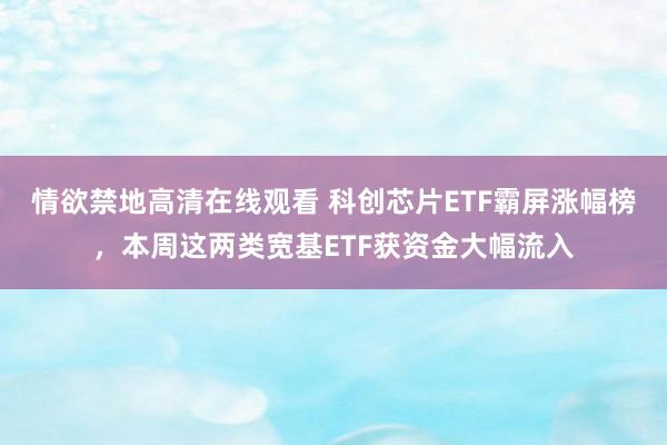 情欲禁地高清在线观看 科创芯片ETF霸屏涨幅榜，本周这两类宽基ETF获资金大幅流入