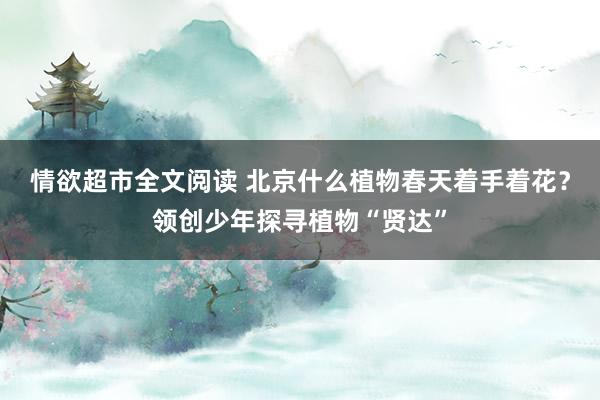 情欲超市全文阅读 北京什么植物春天着手着花？领创少年探寻植物“贤达”