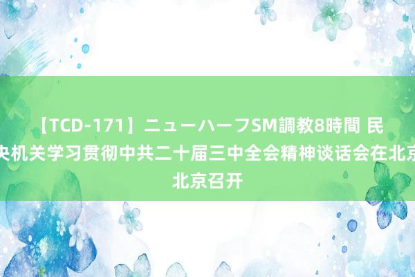 【TCD-171】ニューハーフSM調教8時間 民建中央机关学习贯彻中共二十届三中全会精神谈话会在北京召开