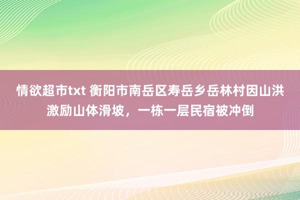 情欲超市txt 衡阳市南岳区寿岳乡岳林村因山洪激励山体滑坡，一栋一层民宿被冲倒