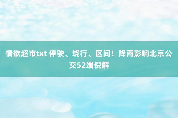 情欲超市txt 停驶、绕行、区间！降雨影响北京公交52端倪解