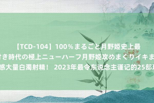 【TCD-104】100％まるごと月野姫史上最強ベスト！ 究極の玉竿付き時代の極上ニューハーフ月野姫攻めまくりイキまくりファック快感大量白濁射精！ 2023年最令东说念主谨记的25部现偶剧，实在磕到不能，您王人看过哪几部？