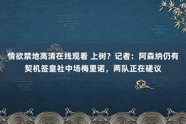 情欲禁地高清在线观看 上树？记者：阿森纳仍有契机签皇社中场梅里诺，两队正在磋议