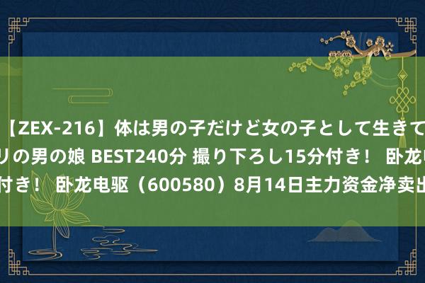 【ZEX-216】体は男の子だけど女の子として生きてる 感じやすいペニクリの男の娘 BEST240分 撮り下ろし15分付き！ 卧龙电驱（600580）8月14日主力资金净卖出1517.98万元