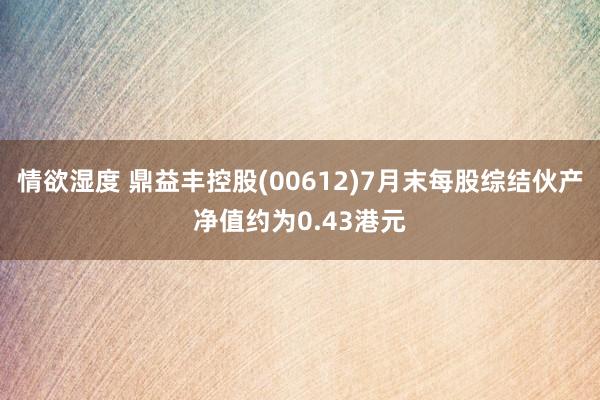 情欲湿度 鼎益丰控股(00612)7月末每股综结伙产净值约为0.43港元