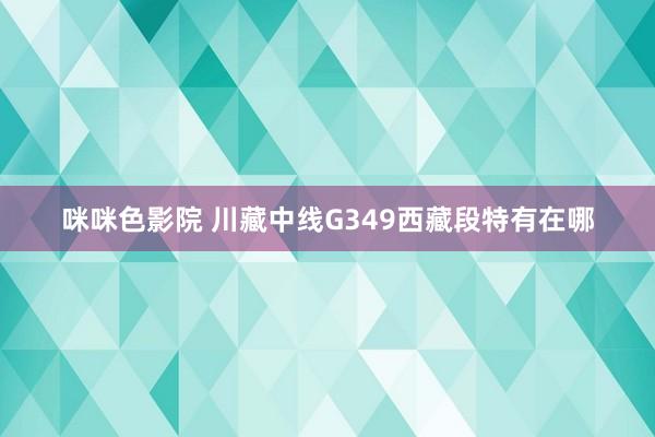 咪咪色影院 川藏中线G349西藏段特有在哪