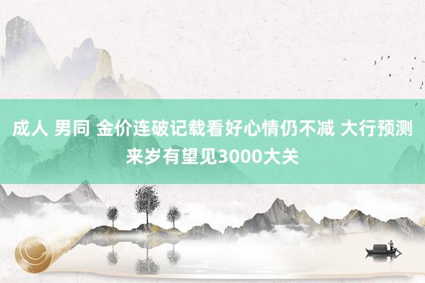 成人 男同 金价连破记载看好心情仍不减 大行预测来岁有望见3000大关