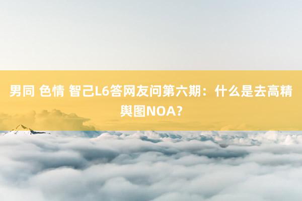 男同 色情 智己L6答网友问第六期：什么是去高精舆图NOA？