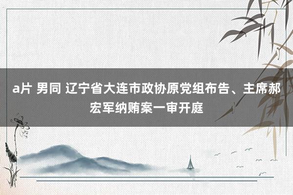 a片 男同 辽宁省大连市政协原党组布告、主席郝宏军纳贿案一审开庭