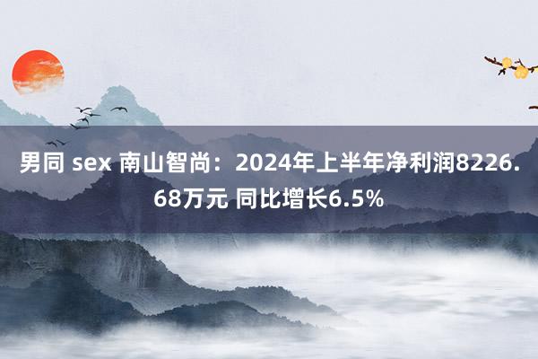 男同 sex 南山智尚：2024年上半年净利润8226.68万元 同比增长6.5%