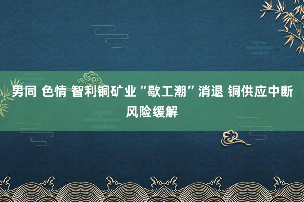 男同 色情 智利铜矿业“歇工潮”消退 铜供应中断风险缓解