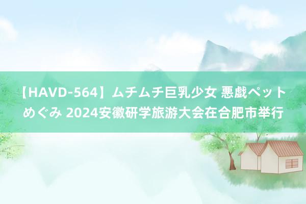 【HAVD-564】ムチムチ巨乳少女 悪戯ペット めぐみ 2024安徽研学旅游大会在合肥市举行