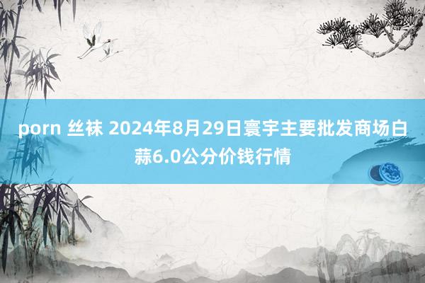 porn 丝袜 2024年8月29日寰宇主要批发商场白蒜6.0公分价钱行情