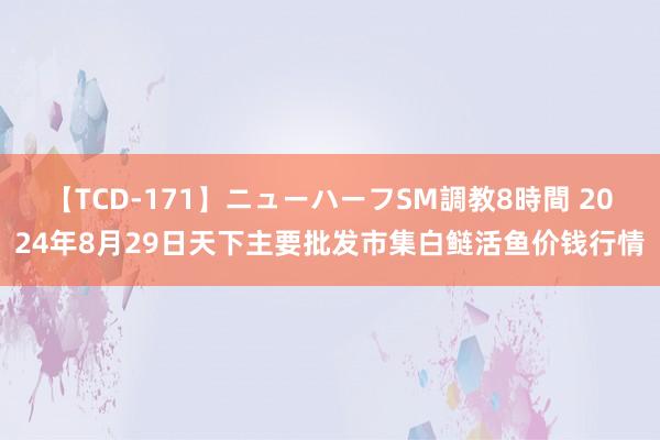 【TCD-171】ニューハーフSM調教8時間 2024年8月29日天下主要批发市集白鲢活鱼价钱行情