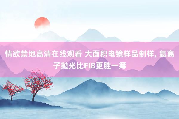 情欲禁地高清在线观看 大面积电镜样品制样， 氩离子抛光比FIB更胜一筹