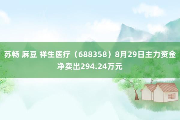 苏畅 麻豆 祥生医疗（688358）8月29日主力资金净卖出294.24万元