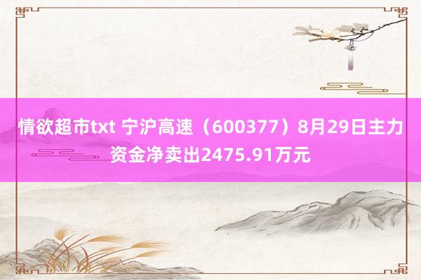 情欲超市txt 宁沪高速（600377）8月29日主力资金净卖出2475.91万元