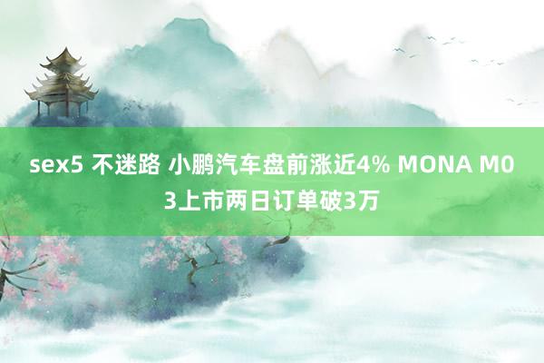 sex5 不迷路 小鹏汽车盘前涨近4% MONA M03上市两日订单破3万