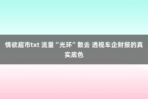 情欲超市txt 流量“光环”散去 透视车企财报的真实底色