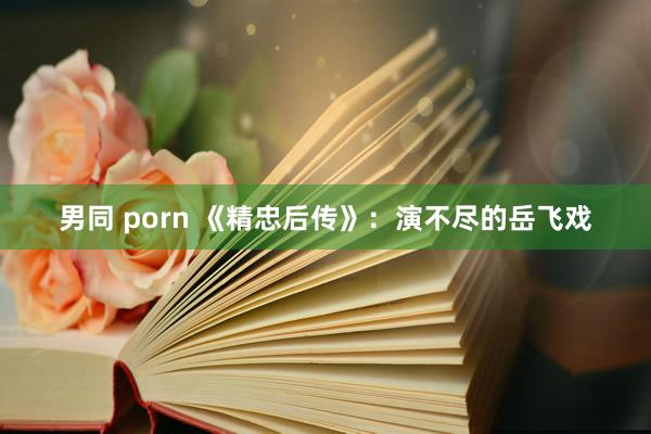 男同 porn 《精忠后传》：演不尽的岳飞戏