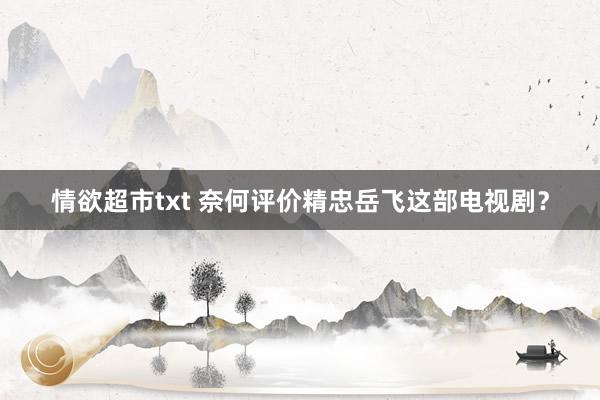 情欲超市txt 奈何评价精忠岳飞这部电视剧？