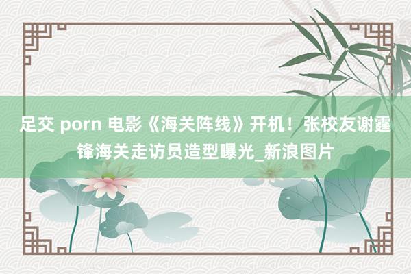 足交 porn 电影《海关阵线》开机！张校友谢霆锋海关走访员造型曝光_新浪图片