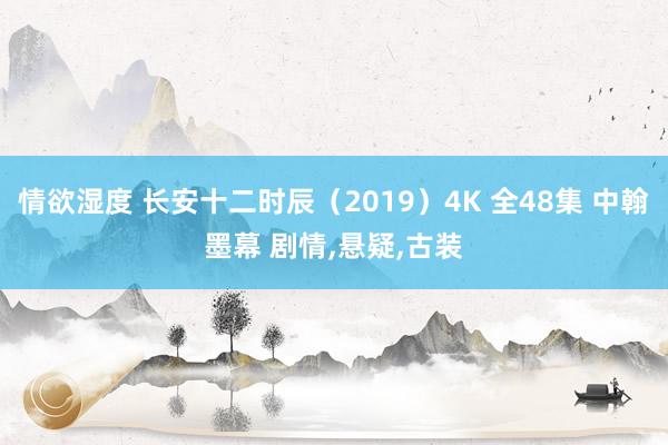 情欲湿度 长安十二时辰（2019）4K 全48集 中翰墨幕 剧情，悬疑，古装