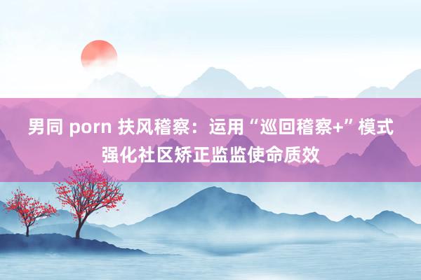 男同 porn 扶风稽察：运用“巡回稽察+”模式强化社区矫正监监使命质效