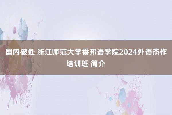 国内破处 浙江师范大学番邦语学院2024外语杰作培训班 简介