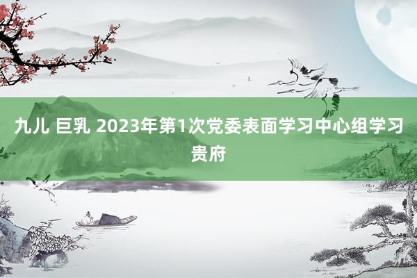 九儿 巨乳 2023年第1次党委表面学习中心组学习贵府