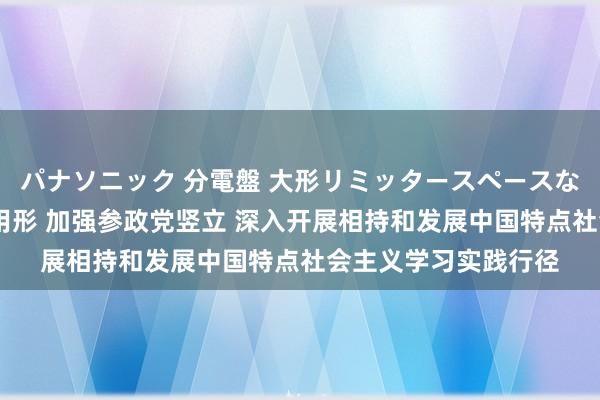 パナソニック 分電盤 大形リミッタースペースなし 露出・半埋込両用形 加强参政党竖立 深入开展相持和发展中国特点社会主义学习实践行径